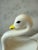 Vintage Ceramic Swan Towel Holder For Sale - Image 4 of 9