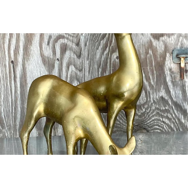Vintage Regency Brass Deer - a Pair For Sale - Image 11 of 12