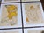 1980s Vintage 20th Century Signed Egon Schiele Expressionist Female Figural Lithographs - Set of 12 For Sale - Image 5 of 8