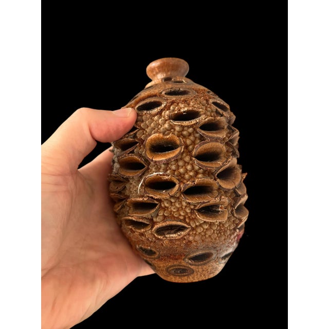 Brown Vintage Organic Banksia Seed Vases- Set of 3 For Sale - Image 8 of 12