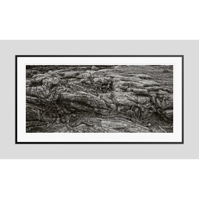 Unforgiven' by Stuart Möller Rocks and cacti near a coastline. Photo Stuart Christian Möller. Archival Pigment Print...
