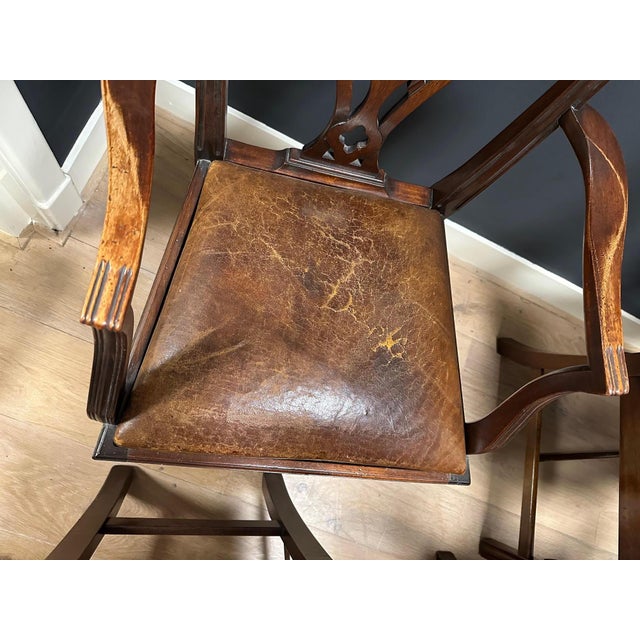 Vintage Dining Chairs, 1890s, Set of 6 For Sale - Image 6 of 7