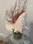 Fabulous Pair of Sea Shells Glass Demijohn Bottles For Sale - Image 9 of 9
