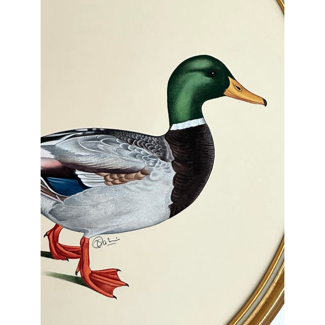An ode to classic natural history, this handpainted mallard is brought to life with extraordinary detail by our master...