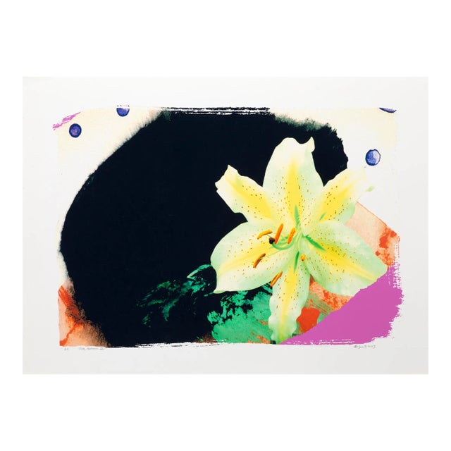 Real Fantasy Iii, Michael Knigin Archival Pigment Print, Signed, Dated, Numbered, and Titled in Pencil For Sale