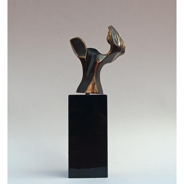 Aluminum & Bronze Sculpture in the Air of His Flight by José Lucas, 2000 For Sale - Image 10 of 10