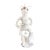 "Lobster Boy #11," Porcelain Sculpture by Robert Hechler For Sale