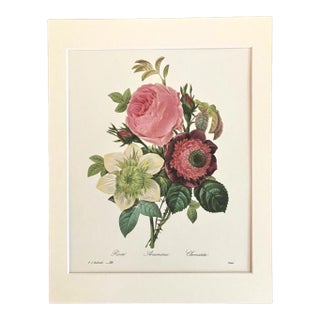 Vintage Pierre-Joseph Redouté in 11x14 Mat - Rose, Anemonie, & Clematis, EUC For Sale