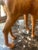 1970s Leather Camel For Sale - Image 5 of 6