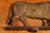 American Late 19th Century Cast Iron Butcher's Rack Crest - Cow Motif For Sale - Image 3 of 5