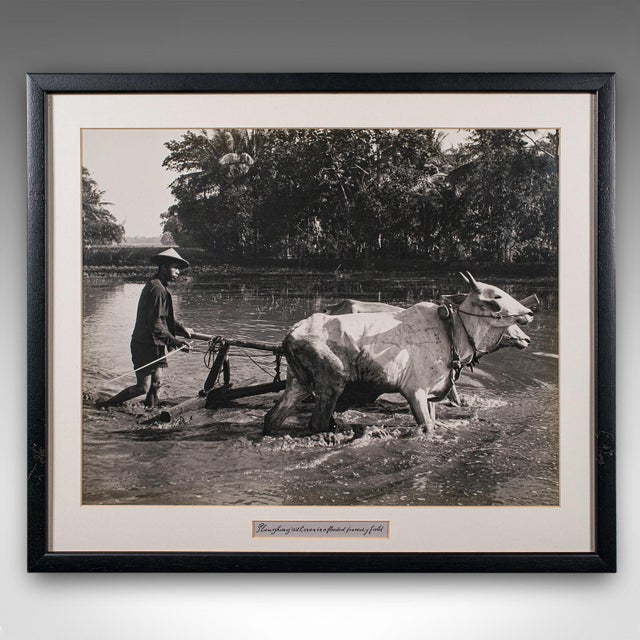 This is a vintage monochrome photograph of rural Indonesia. An Oriental, framed large format black & white print, dating...