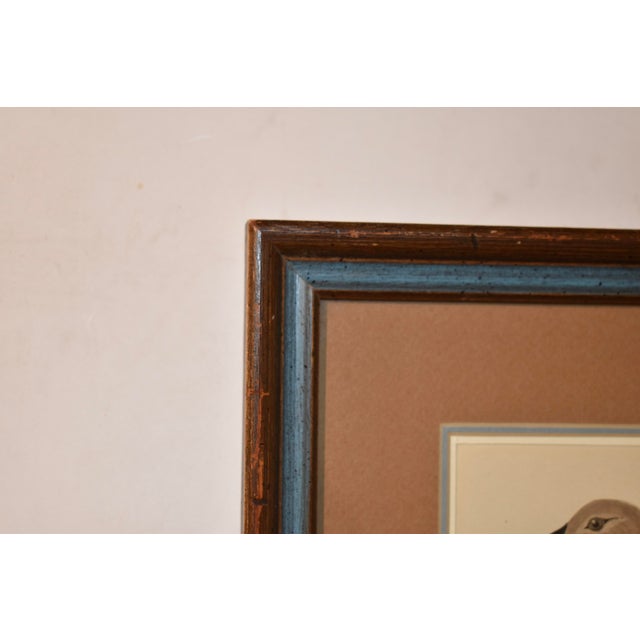 British Game Birds and Wildfowl. Lithograph of the Pink Footed Goose from 1891, by Beverley R. Morris, MD. with original...