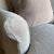 Not Yet Made - Made To Order Alma Chaise Lounge Slipcover Only For Sale - Image 5 of 6