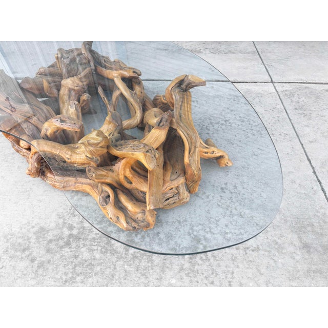 1960s Mid-Century Modern Driftwood Coffee Table With Freeform Glass Top For Sale - Image 11 of 15
