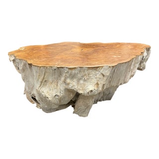 Clubcu-Workshop for Cohab Space Teak Tree Trunk Coffee Table For Sale