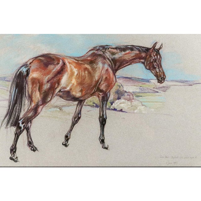 English Horse Pastel Painting by Leslie Charlotte Benenson of Erin Star. 3/4 Bred Irish Mare Aged 18. / 1 June 1985 For Sale - Image 3 of 6