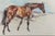 English Horse Pastel Painting by Leslie Charlotte Benenson of Erin Star. 3/4 Bred Irish Mare Aged 18. / 1 June 1985 For Sale - Image 3 of 6