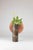 Not Yet Made - Made To Order Archetico _ Flower Holder by Gumdesign for La Casa Di Pietra For Sale - Image 5 of 6