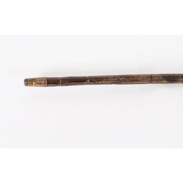 19th Century Antique Greyhound Head Sliver Handled Walking Stick Cane, 1890s For Sale - Image 5 of 12