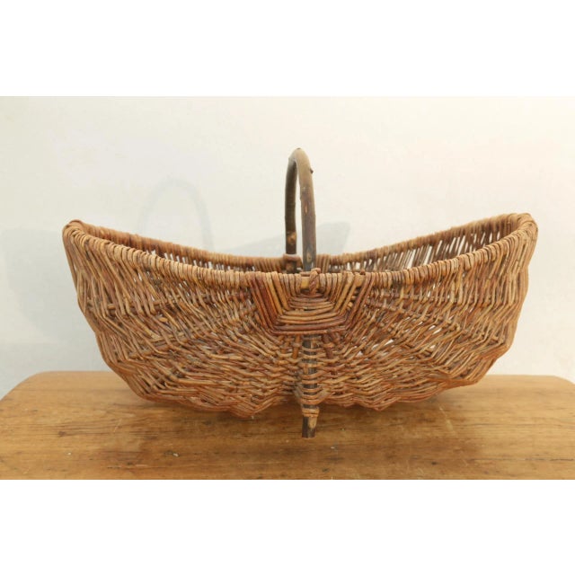 Brown French Antique Buttocks Harvest Gathering Wicker Basket With Grape Vine Handle For Sale - Image 8 of 8