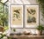 Pair of French Sphinx Moth Engravings by Duméril & Guérin, 1835 This striking pair of antique French natural history...