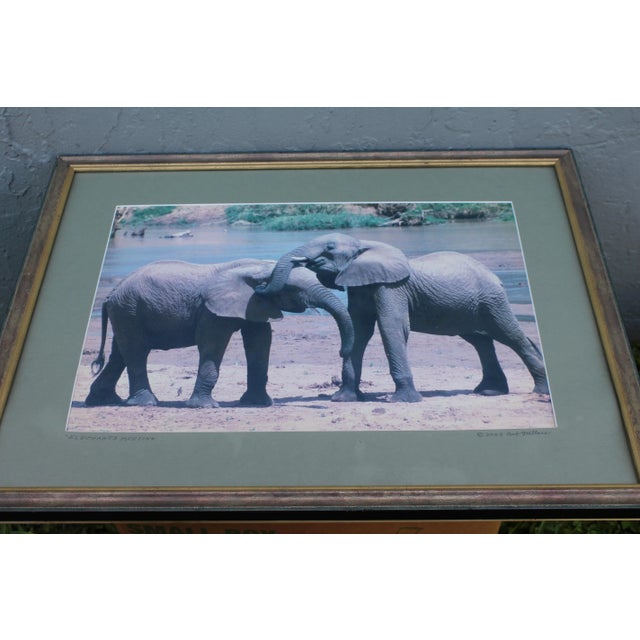 Mid Century Framed & Matte Photograph by Bob Wallace - Elephants Meet For Sale - Image 4 of 12