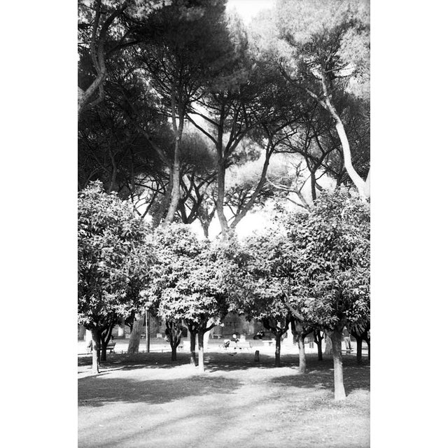 Not Yet Made - Made To Order Paul Cooklin, Rome Italy 00107, Edition of 50 For Sale - Image 5 of 5