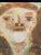 Wood 1970s Folk Art Portrait Painting by Jimmy Lee Sudduth, Framed For Sale - Image 7 of 13