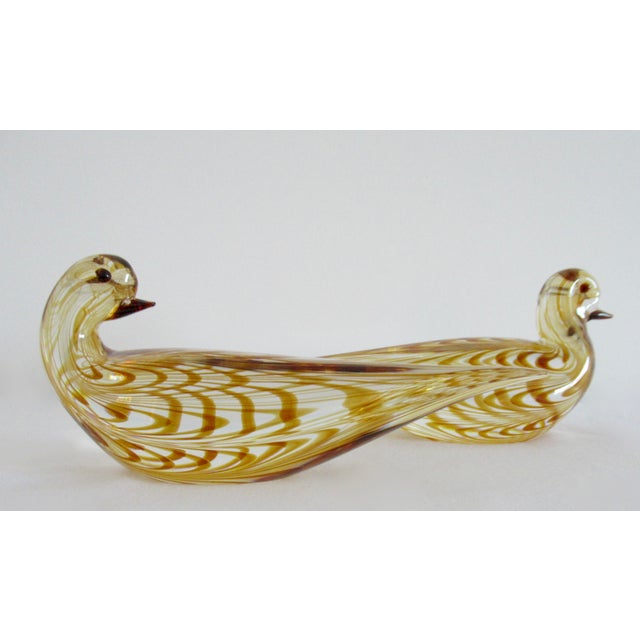 Cenedese C .1950's Signed Gino Cenedese Italian Hand-Blown Murano Cognac & Clear Dove Birds - Pair For Sale - Image 4 of 14