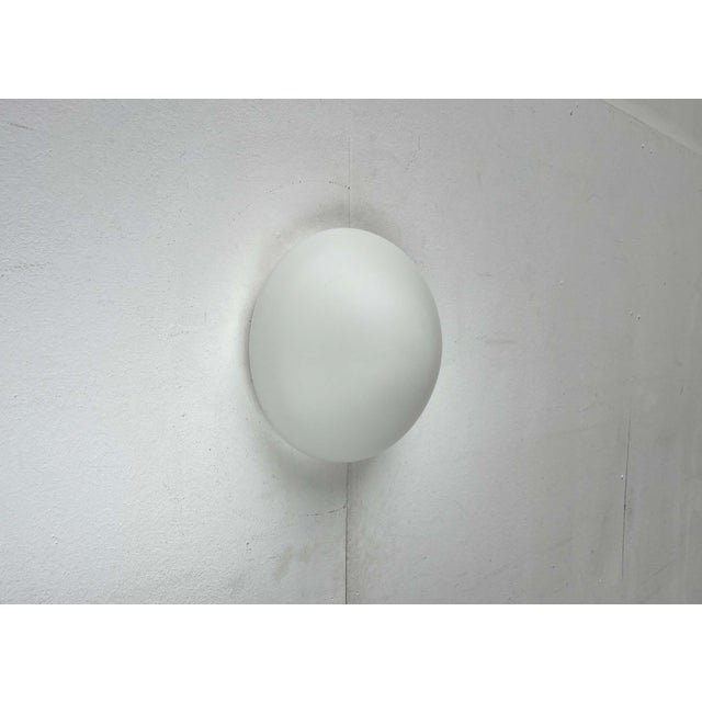 Mid-Century Modern Minimalist Ceiling or Wall Lamp by Wilhelm Wagenfeld for Lindner, Germany, 1950s For Sale - Image 15 of 18