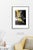 Fine art Giclee prints on Hahnemuhle Photo Rag 308gsm - a 100% cotton, acid-free, mould-made paper. Printed to Fine Art...