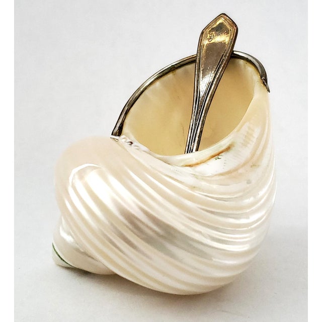 Caviar Dish by Scully & Scully Sterling Silver 925 Hallmarked & Spoon Seashell Shell For Sale - Image 11 of 17