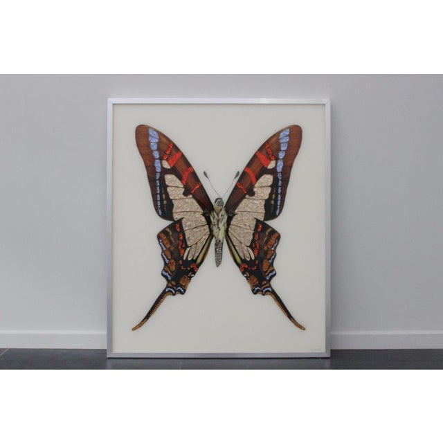 This artwork by Michele Astolfi, created in Bologna in the early 2000s, is part of an exclusive series of three large...