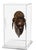 20th Century Baule Portrait Mask in Lucite Museum Display For Sale