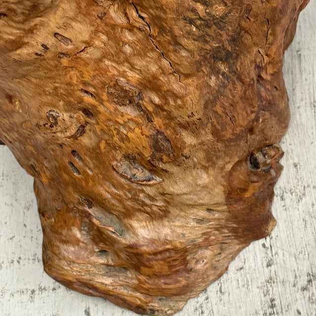 Brown Mid 20th Century Warm Honey Brown Free-Form Tree Trunk Side Pedestal Table For Sale - Image 8 of 10