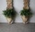 Wood 8ft Tall Pair of Antique European Wood Jardiniere Garden Planters For Sale - Image 7 of 12