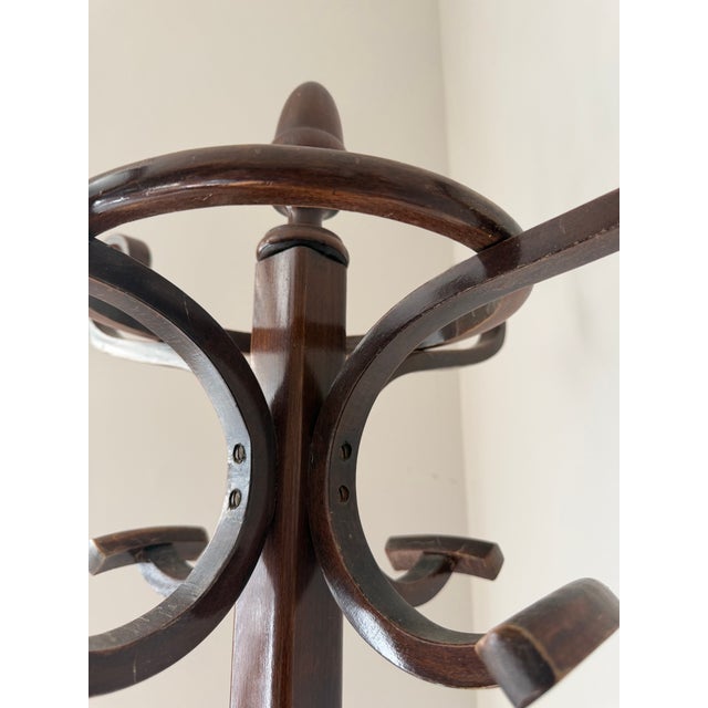 Antique Thonet-Style Bentwood Perroquet Hall Tree & Coat Rack For Sale In Atlanta - Image 6 of 7