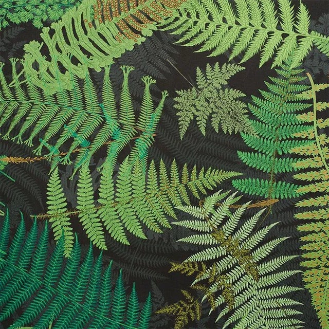 Familiar fern fronds get a fashionable update in this extra-large, extra-special botanical fabric. It's an imaginative...
