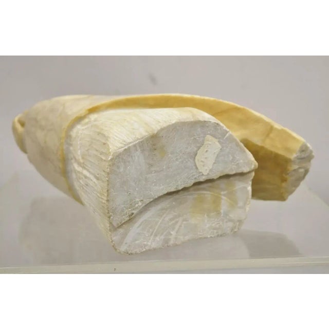 Late 20th Century Vintage Carved Alabaster American Indian Navajo Sculpture by Gregory Johnson For Sale - Image 10 of 12