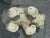 Mid-Century Modern Vintage Rare Polar Bear + Glass Top Coffee Table, 1970s For Sale - Image 3 of 12