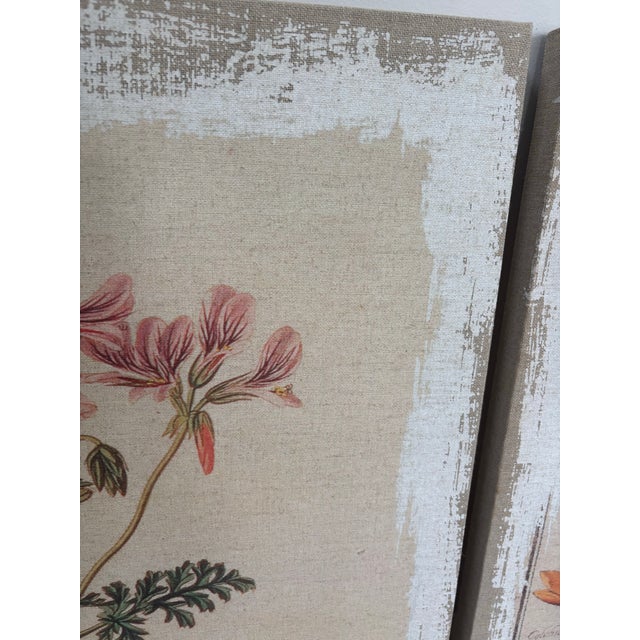 Botanical Canvas Wall Art- Set of 4 For Sale - Image 10 of 12
