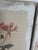 Botanical Canvas Wall Art- Set of 4 For Sale - Image 10 of 12