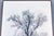 1948 Ansel Adams Oak Tree Snowstorm, Yosemite National Park Photograph Art Print For Sale - Image 9 of 18