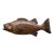Large Vintage Taxidermy Fish c.1950-1970 For Sale