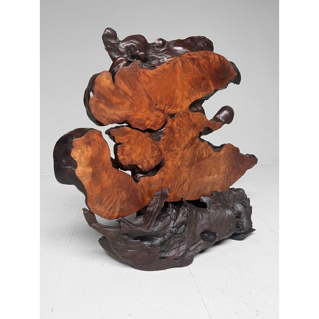 Japanese Burl Wood Decoration For Sale - Image 12 of 15