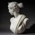 Grand Tour Marble Bust of Diana of Versailles, 19th Century For Sale - Image 15 of 18