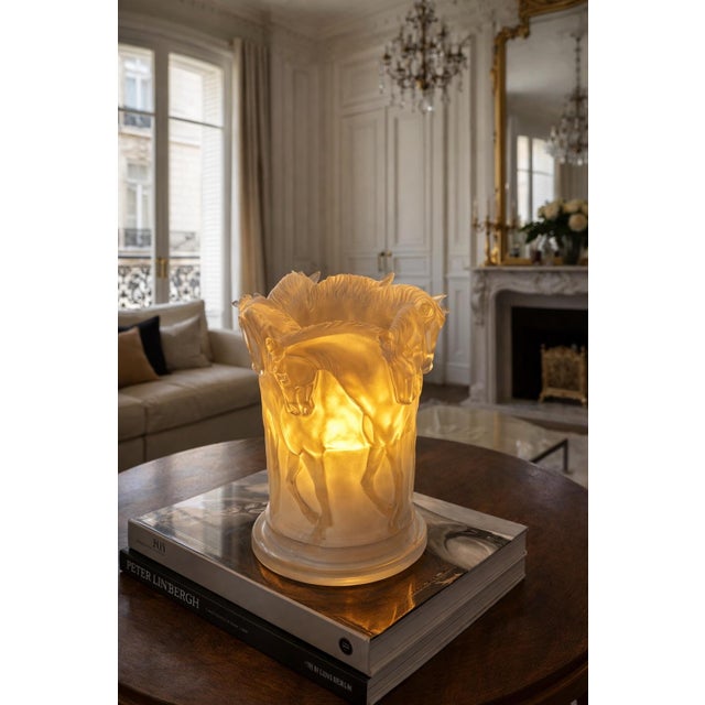 Lamp in Acrylic Glass, 1970s For Sale - Image 16 of 17