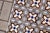 Art Nouveau / Early Art Deco Design Set of 33 Portuguese Geometric Tiles Multicolor c.1900s For Sale - Image 6 of 18