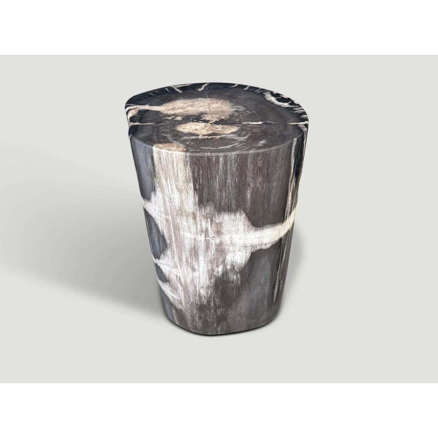 Contemporary Andrianna Shamaris Modern Organic Petrified Wood Side Table For Sale - Image 3 of 8