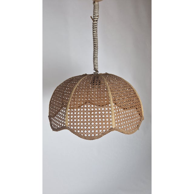 Tan Chandelier in Vienna Straw, 1960s For Sale - Image 8 of 13